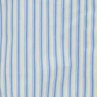 Button Detail Cropped Shirt In Chamomile Blue Stripe