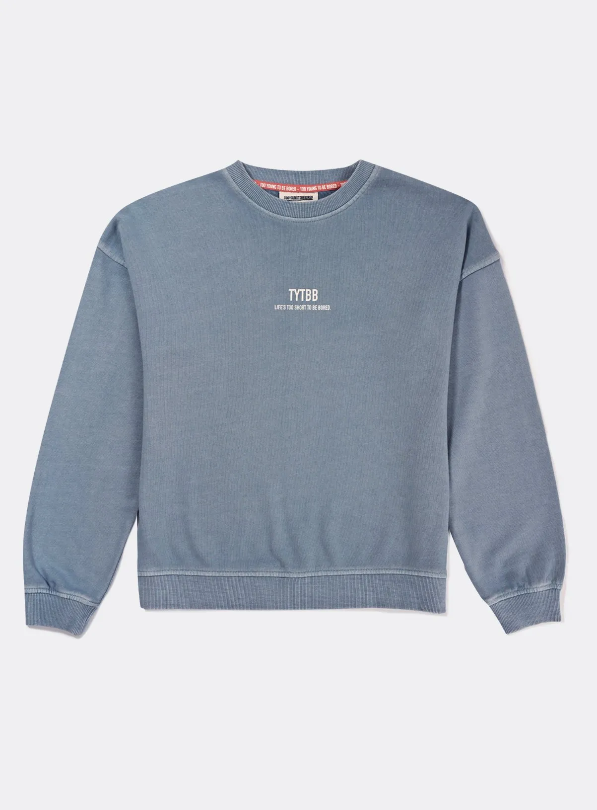 Buy TYTBB Blue Oversized Washed Sweatshirt 12 years | Jumpers and hoodies | Tu