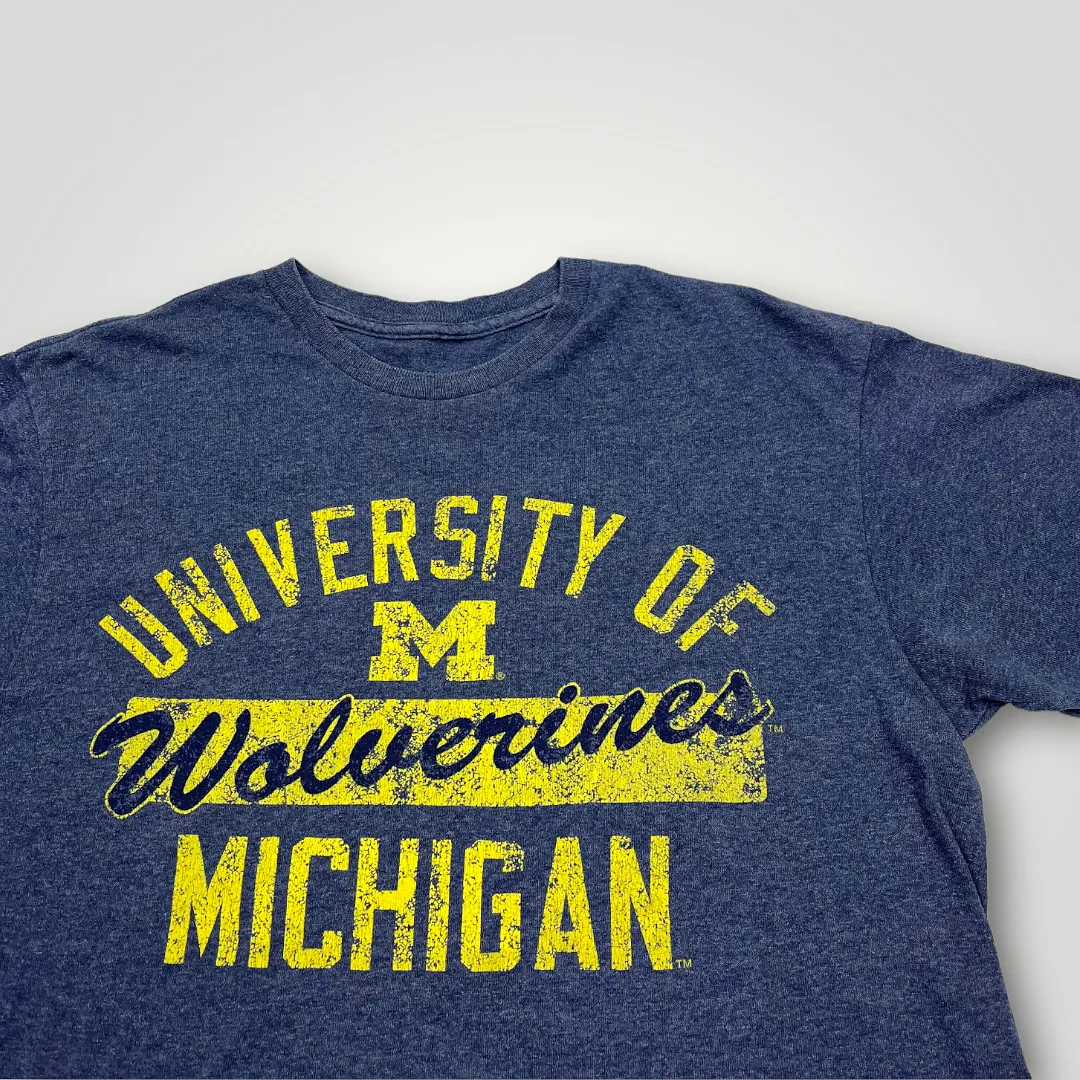 Vintage Michigan USA T-Shirt (Medium)